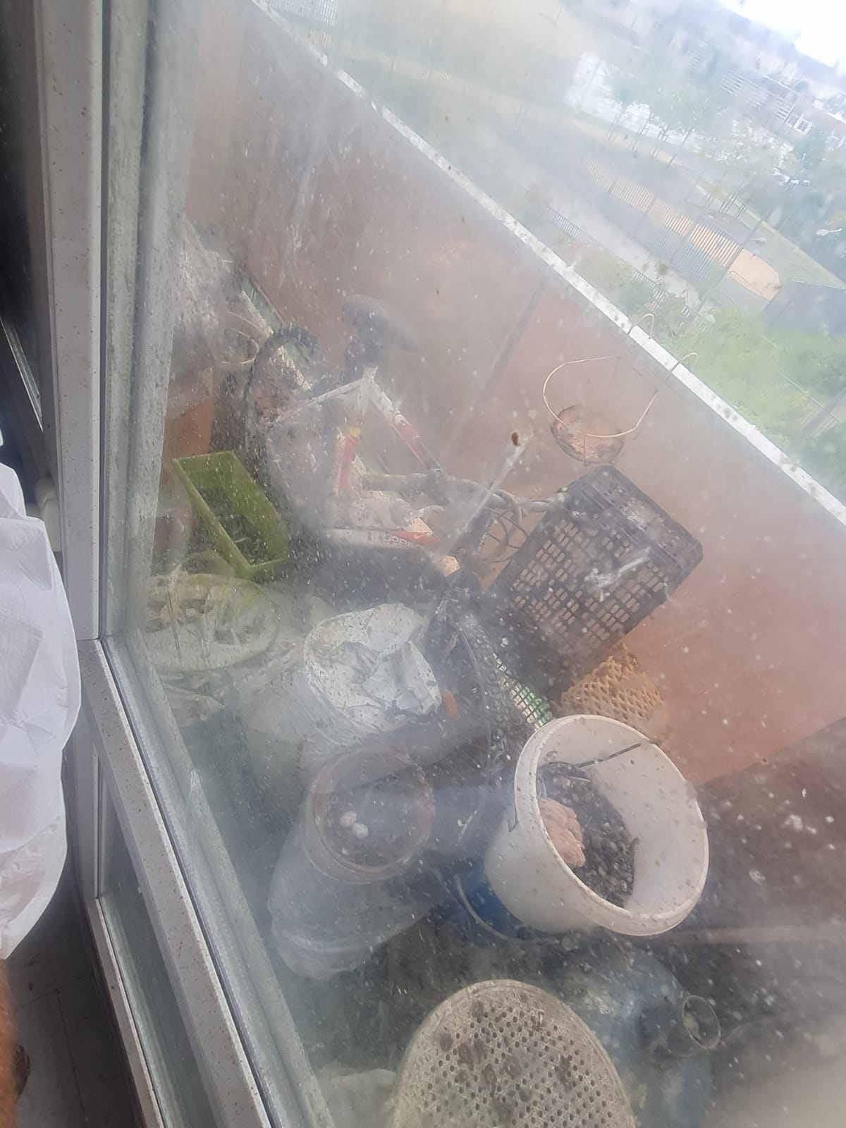 Services IMG 20241016 WA0063