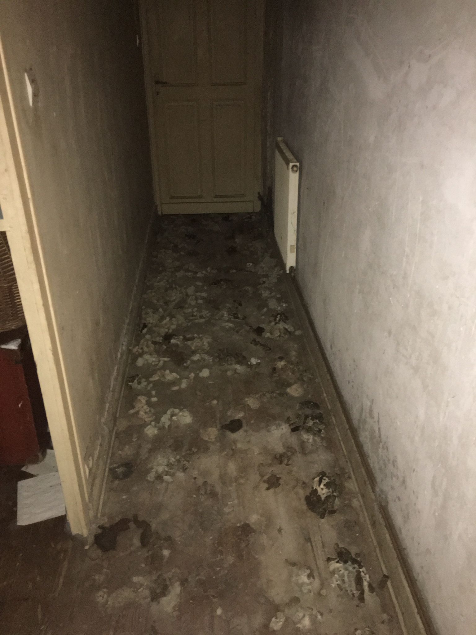 IMG 20241130 WA0004